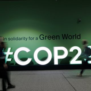 Cop 29