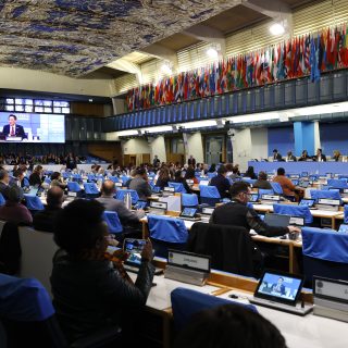 Cop 16 biodiversità