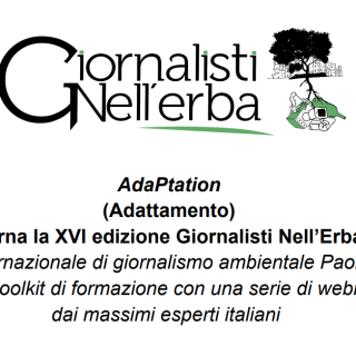 premio Giornalisti nell'erba