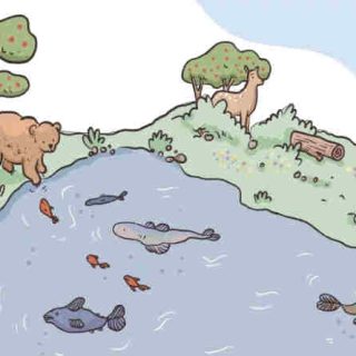 Nature restoration law