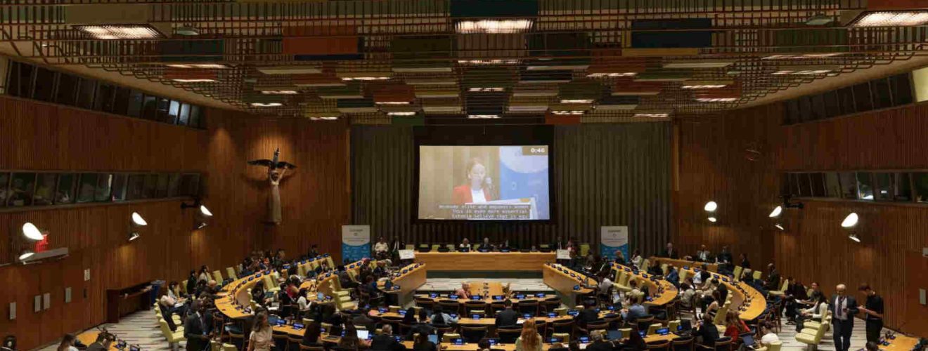 High level political forum
