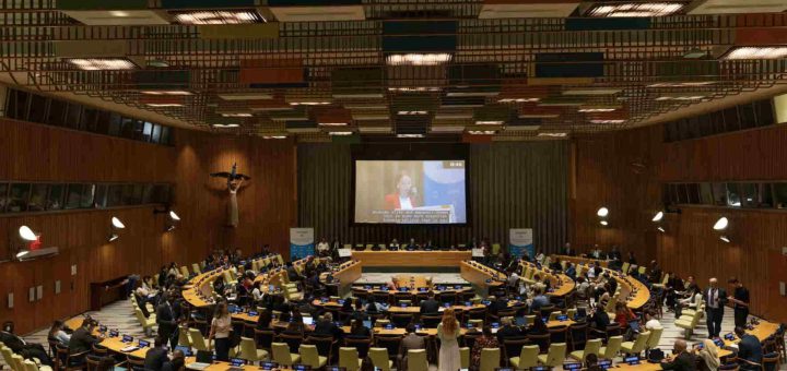 High level political forum